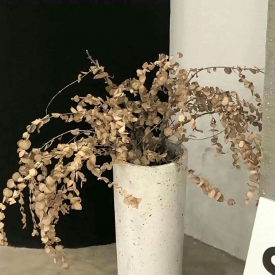 Furry插画氛围技巧FurryQQ群